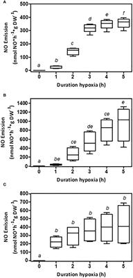 The underestimated role of plant root nitric oxide emission under low-oxygen stress